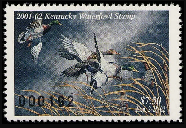 Kentucky waterfowl Stamp 2001-02