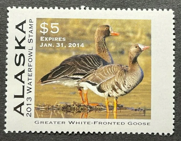 Alaska Waterfowl Stamp  2013