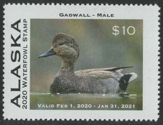 Alaska Waterfowl Stamp 2020